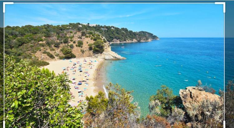 Cavalaire Vue Mer Au Loin Maisonnette Tout Equipee Pour 4 Personnes Avec Piscine Clim Wifi Velos Tv Barbecues ภายนอก รูปภาพ