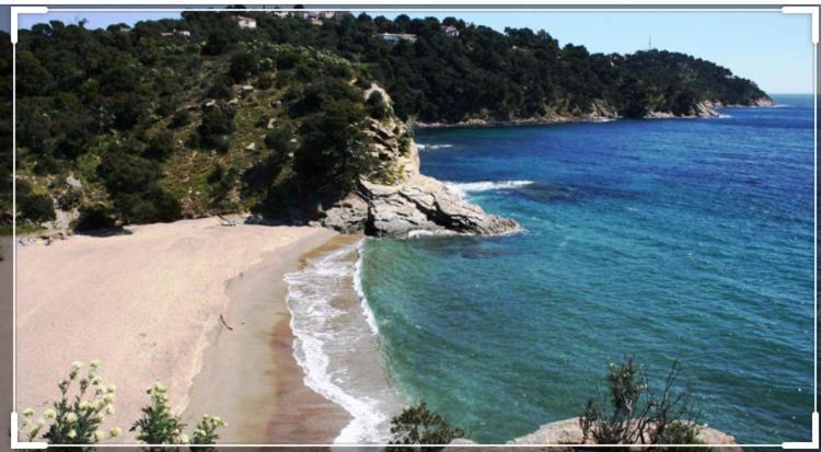 Cavalaire Vue Mer Au Loin Maisonnette Tout Equipee Pour 4 Personnes Avec Piscine Clim Wifi Velos Tv Barbecues ภายนอก รูปภาพ